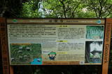 土肥一族の墓(城願寺)の写真