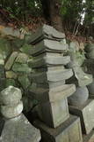 土肥一族の墓(城願寺)の写真