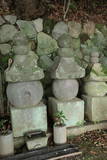 土肥一族の墓(城願寺)の写真