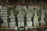 土肥一族の墓(城願寺)の写真