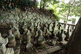 土肥一族の墓(城願寺)の写真