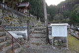 安芸国虎の墓(浄貞寺)の写真