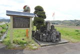 国司檀の写真