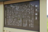 国司檀の写真