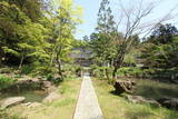 斎藤下野守朝信夫妻の墓(東福院)の写真