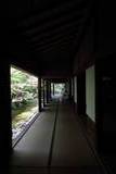 清水園の写真