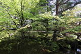 清水園の写真
