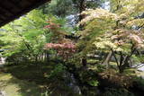 清水園の写真