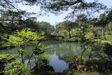 清水園の写真