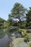 清水園の写真