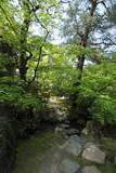 清水園の写真