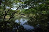 清水園の写真