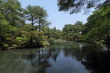 清水園の写真