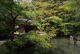 清水園の写真
