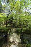 清水園の写真