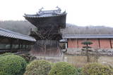 北条早雲と父盛定の墓(法泉寺)の写真