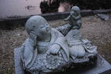 北条早雲と父盛定の墓(法泉寺)の写真