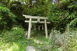 真鍋島の五輪石塔群の写真