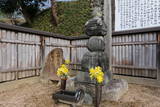 三村家親・元親の墓(源樹寺)の写真