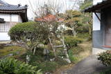 三村家親・元親の墓(源樹寺)の写真