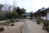 山崎家墓所(桂巖寺)の写真