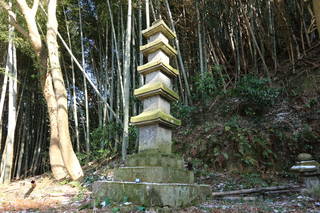 田原家五重塔と丸山墓地の写真