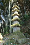 田原家五重塔と丸山墓地の写真