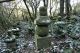 田原家五重塔と丸山墓地の写真