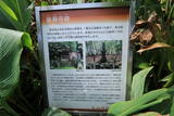 波多三河守親遥拝塔(瑞厳寺跡)の写真