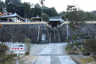 渋江家の墓(長泉寺)の写真