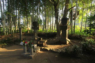 少弐政資・資元の墓(専称寺)写真