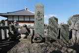 別府氏の墓(安楽寺)の写真