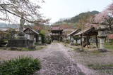 口羽家墓所(宗林寺)の写真