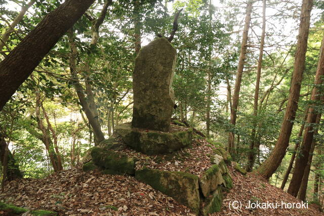 高橋興光の墓の写真