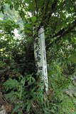 細川之照の墓の写真