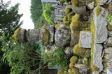 山崎家盛の墓(龍徳寺)の写真