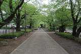 最上義光の墓(光禅寺)の写真