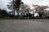 新庄藩戸沢家墓所(瑞雲院)の写真